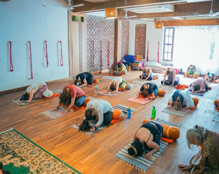 Yoga Teacher Training in India Yoga Teacher Training in India