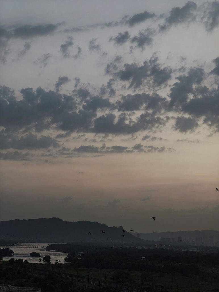 A flock of birds in flight at sunset